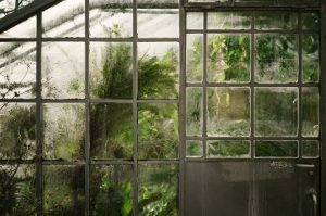 smart greenhouses control humidity and temperature