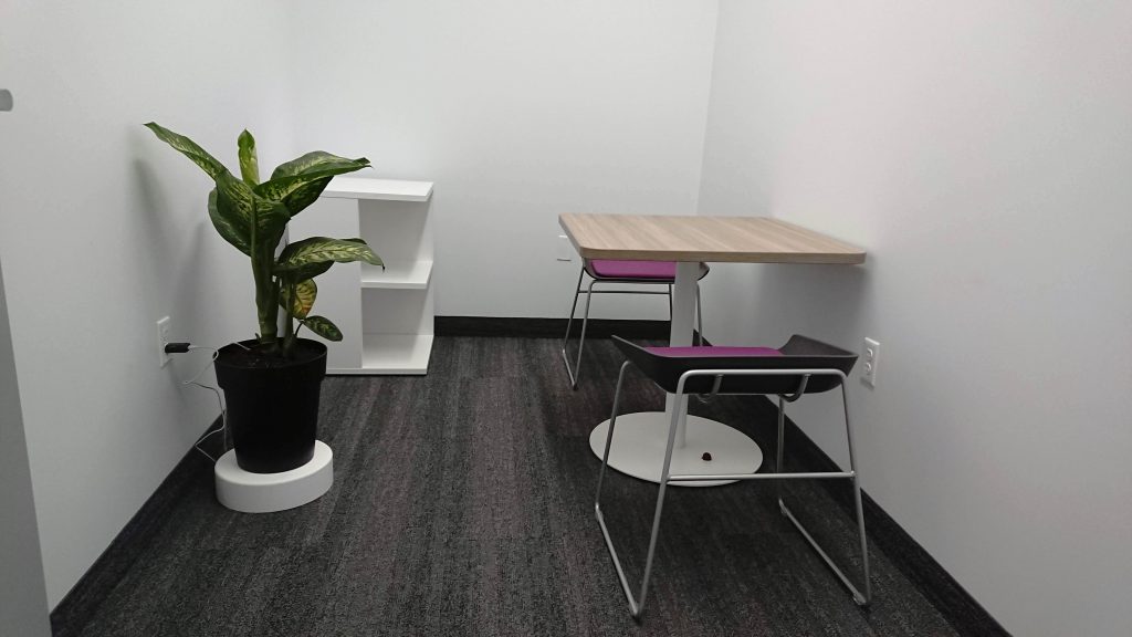 indoor office plants self watering auto watering